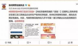 肉松饼爆料视频播放下载,播放下载量惊人！