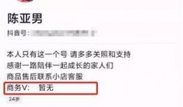 陈亚楠员工爆料视频大全,揭露职场真相与内幕